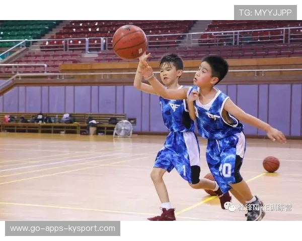 篮球运动在中国医疗康复体系中的辅助作用，篮球运动对增进健康与培养体育精神的促进作用